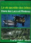 Dans les lacs et rivières vignette