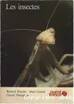 Les insectes vignette