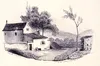 vignette