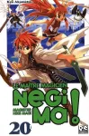 Le maître magicien Negima ! vignette